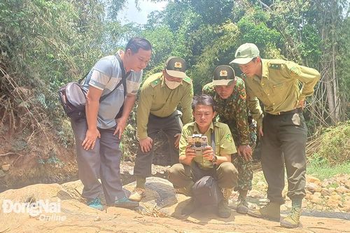 Quy định về kiểm lâm và lực lượng chuyên trách bảo vệ rừng: Cần sửa đổi để phù hợp với thực tiễn