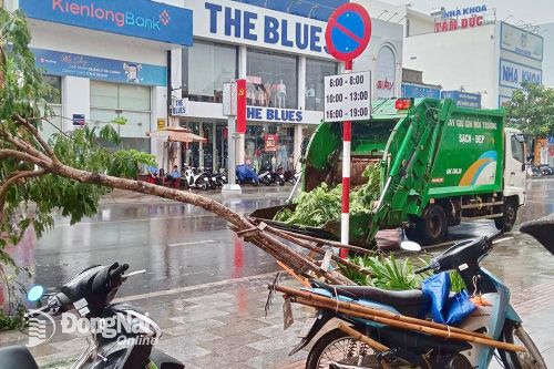 Thành phố Long Khánh: Khuyến cáo đề phòng cây gãy đổ ra đường trong mưa dông