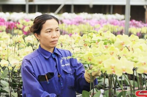 Hỗ trợ người dân, doanh nghiệp ứng dụng công nghệ cao