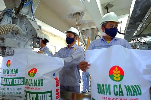 Đạm Cà Mau (DCM) 'thận trọng' đặt mục tiêu kinh doanh năm nay, dự chia cổ tức tỷ lệ 20%
