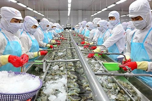 'Vua tôm' Thủy sản Minh Phú (MPC) đặt mục tiêu lãi ròng cao nhất 16 năm