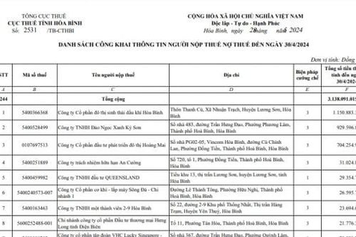 Hòa Bình: Công khai danh sách 244 doanh nghiệp nợ thuế