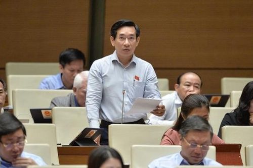 Quy định 'dao có tính sát thương cao' cần phù hợp với thực tiễn cuộc sống