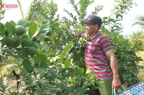 Chuyện làm giàu của những 'nông dân tỷ phú' ở Long An