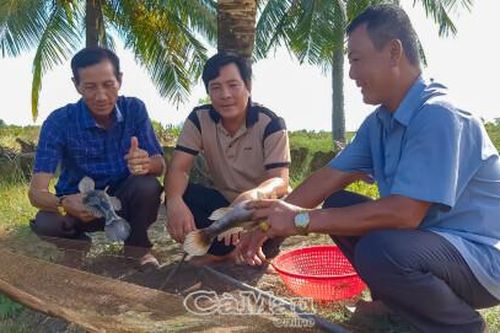 Làm giàu từ nuôi cá