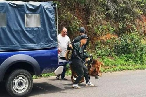 Điều tra vụ phát hiện thi thể cô gái bị phân hủy ở Đà Lạt