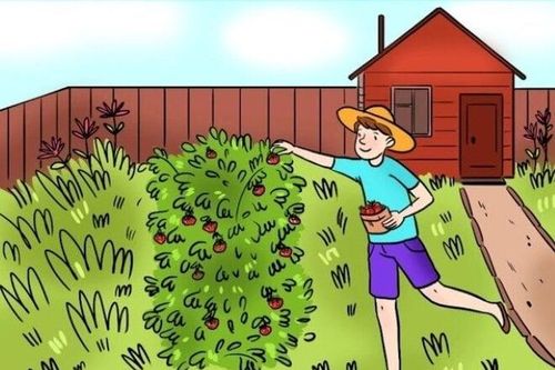 Đố bạn tìm ra lỗi sai duy nhất trong bức ảnh