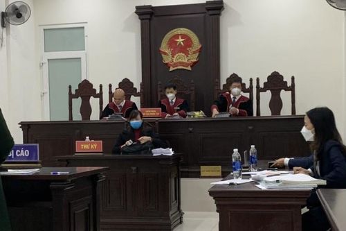Cựu nữ giáo viên bị quy kết lừa đảo mua bán đất chiếm đoạt tiền