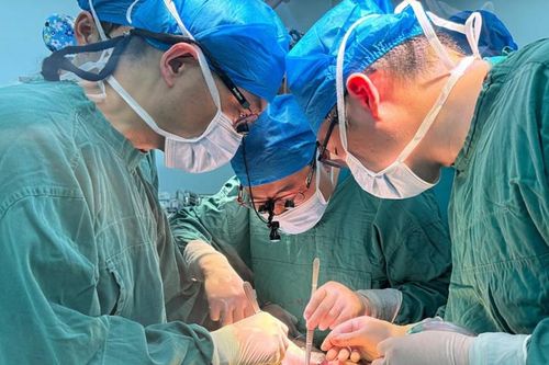 Lần đầu tiên ghép thành công gan lợn cho người