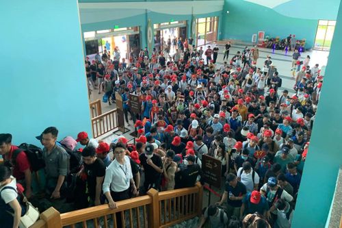 Khách đến Cát Bà đông chưa từng có
