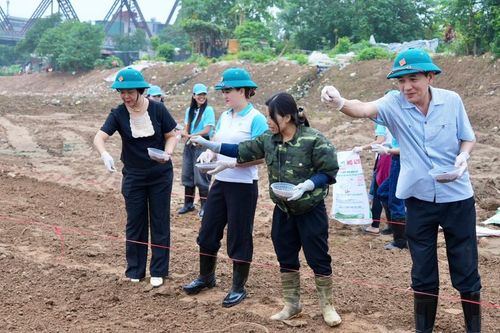 Quận Ba Đình: Ra quân phủ xanh bờ vở sông Hồng