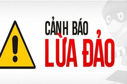 Dấu hiệu lừa đảo bán giống cây ổi Rubi ruột đỏ ở Bắc Kạn