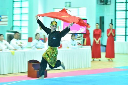 Việt Nam xuất sắc giành 2 Huy chương Vàng môn Pencak Silat