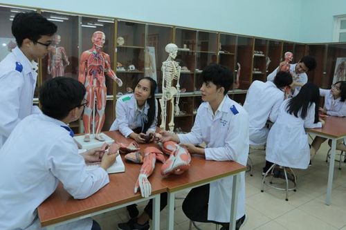 Thành lập thêm một trường đại học đào tạo y dược thuộc Đại học Quốc gia Thành phố Hồ Chí Minh