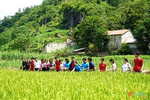 Trường Chính trị tỉnh Hà Giang tổ chức đi nghiên cứu thực tế