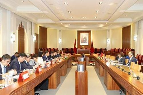 Tăng cường quan hệ hợp tác Việt Nam - Morocco