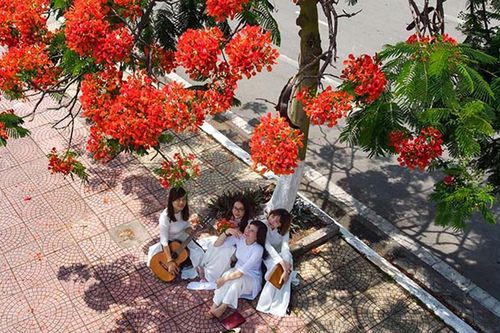Gọi về tháng sáu