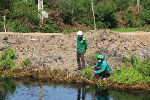 Long An: Đề xuất xử phạt doanh nghiệp xả nước thải ra kênh, ruộng lúa