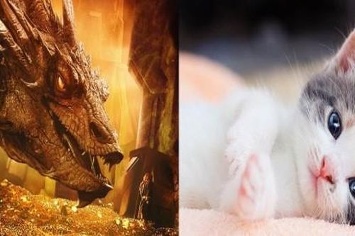 3 tuổi 'hút' may mắn: Vừa tài giỏi xinh đẹp, vừa giàu sang sống thọ