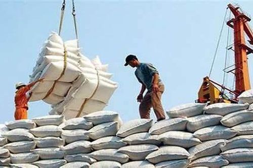 Không trúng thầu bằng mọi giá