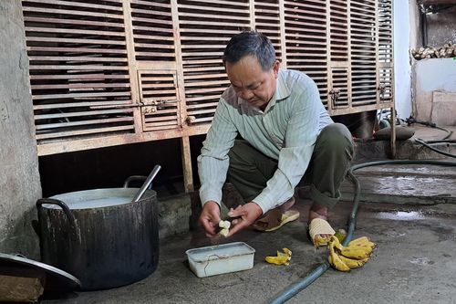 Người dân miền núi nâng cao thu nhập nhờ nuôi động vật rừng