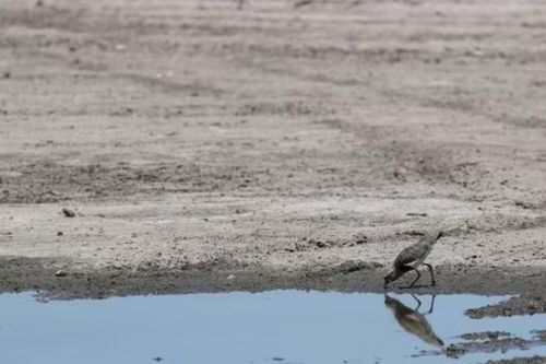 Liên hợp quốc: La Nina có thể giúp nhiệt độ hạ thấp trong năm nay