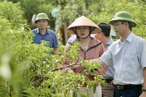 Phóng viên các cơ quan báo chí trung ương thường trú tại Thanh Hóa đi thực tế tại huyện Triệu Sơn