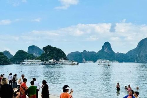Quyết phủ sóng toàn bộ vịnh Hạ Long