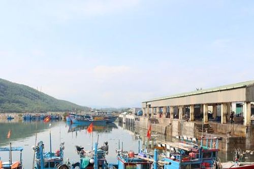 Cửa biển bồi lấp, hàng trăm tàu cá Quảng Ngãi phải 'ly hương'