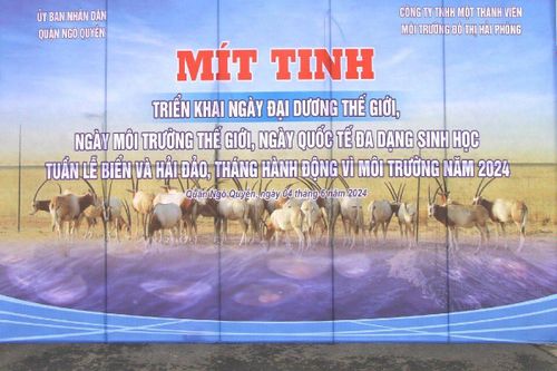 Hải Phòng: Hưởng ứng Ngày Môi trường, Ngày Đại dương thế giới