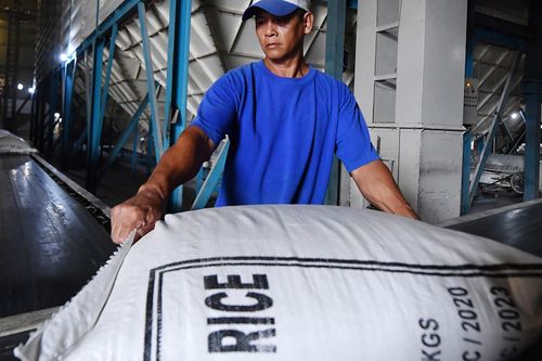 Doanh nghiệp bán 'đại hạ giá', gạo Việt lao dốc về mức thấp nhất thế giới