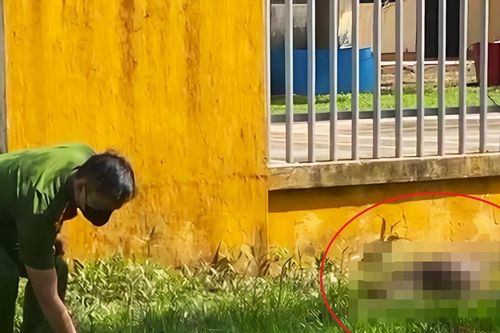 Phát hiện thi thể người đàn ông đang phân hủy bên đường
