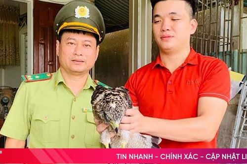 Phát hiện chim diều hoa quý hiếm khi đi câu cá