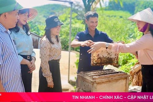 Tiếp tục nhân rộng các mô hình 'Dân vận khéo' tại Đức Thọ, Vũ Quang