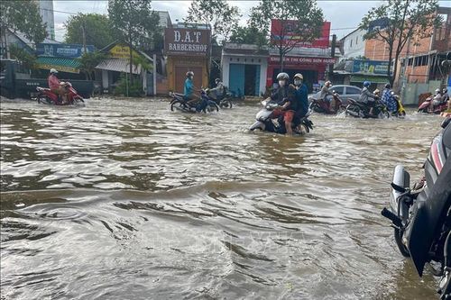 Xuất hiện đợt triều cường mới ở ven biển Đông Nam Bộ