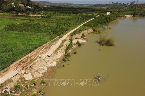 Đắk Nông: Cảnh báo nguy cơ sạt lở trên các sông, suối, sườn dốc do mưa lớn