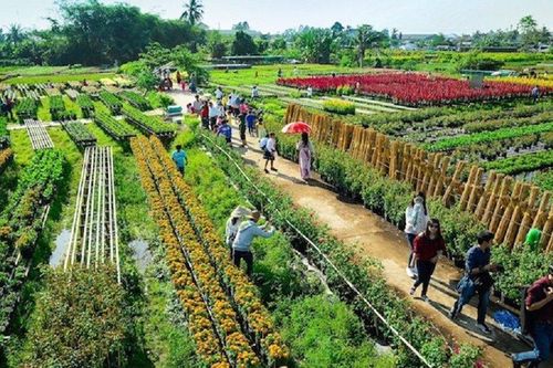 Để du lịch nông nghiệp, nông thôn 'cất cánh'