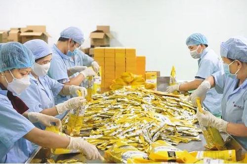 Dồn lực để mở đường thị trường FTA cho doanh nghiệp