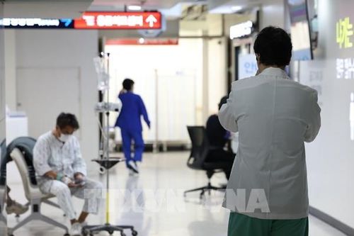 Hàn Quốc rút lại lệnh yêu cầu các bác sĩ thực tập trở lại làm việc