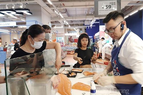 Hàng nghìn tấn cá hồi, cua nâu Na Uy được tiêu thụ tại thị trường Việt Nam