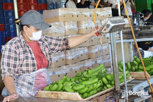 Nhiều lợi thế phát triển thương mại dịch vụ