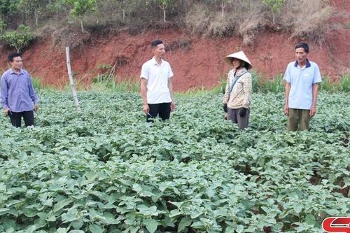 Những chuyển biến của chương trình xây dựng nông thôn mới