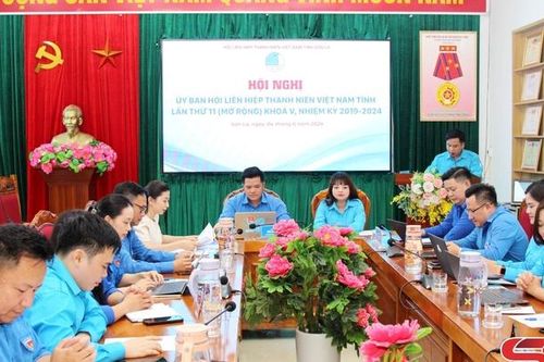 Hội nghị Ủy ban Hội Liên hiệp Thanh niên Việt Nam tỉnh lần thứ 11 (mở rộng) khóa V, nhiệm kỳ 2019-2024
