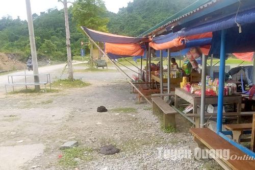 Chấn chỉnh tình trạng thả rông trâu, bò tại khu vực Bến Thủy Na Hang