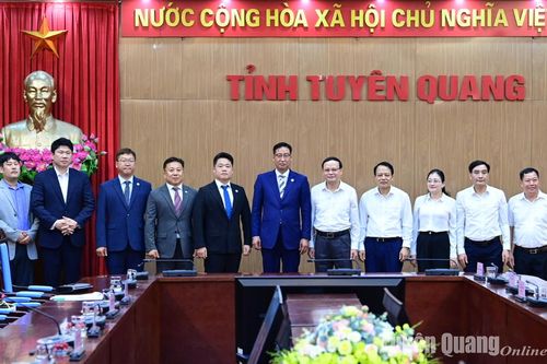 Phó Chủ tịch UBND tỉnh Nguyễn Mạnh Tuấn làm việc với lãnh đạo Tập đoàn KGM Tatadaewoo Hàn Quốc