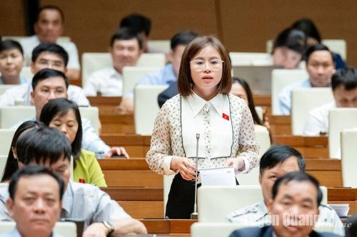 ĐBQH Nguyễn Việt Hà chất vấn Bộ trưởng Bộ Tài nguyên và Môi trường về phân cấp quản lý nhà nước về tài nguyên nước