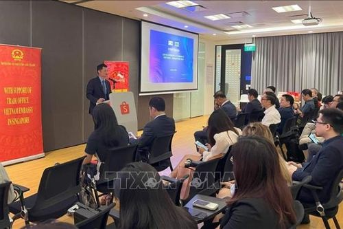Việt Nam - Singapore thúc đẩy hợp tác thương mại và thanh toán điện tử xuyên biên giới