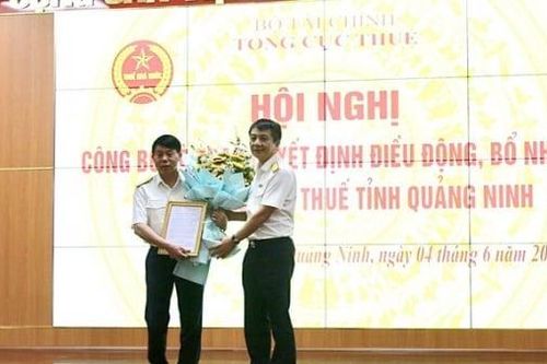 Cục trưởng Cục Thuế Hải Phòng giữ chức Cục trưởng Cục Thuế Quảng Ninh