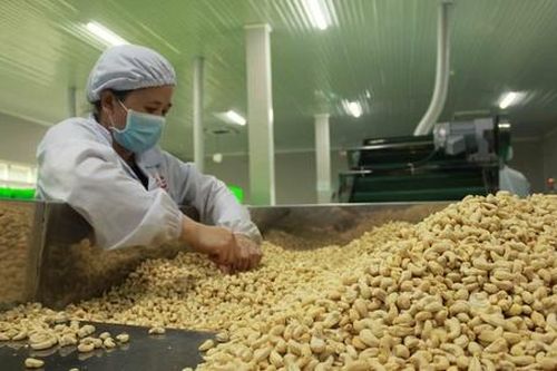 Vì đâu nhiều ngành hàng tỷ USD của Việt Nam 'mong manh'?