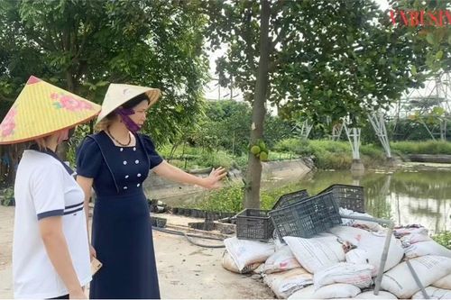 HTX Tiên Dương kết nối '5 nhà' trong sản xuất hữu cơ